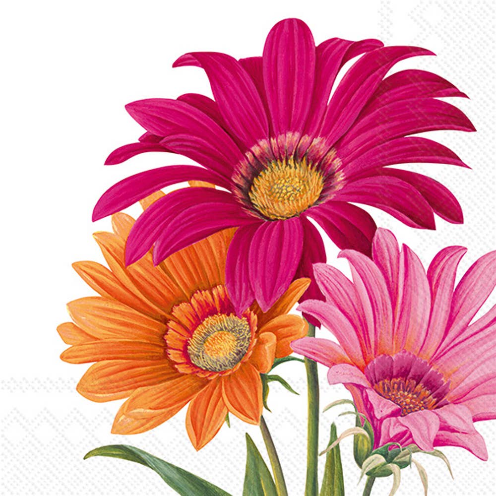 Joyful Gerbera Lunch Napkins