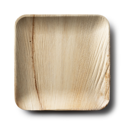 Palm Leaf Collection